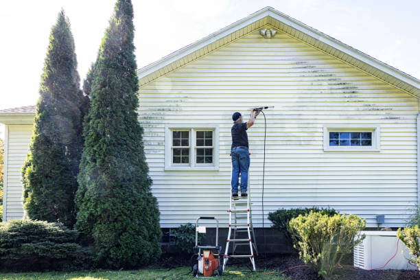 Best Roof Power Washing Services  in Parsons, TN